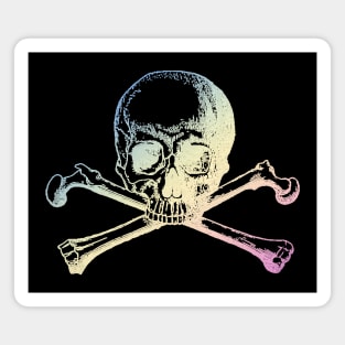 Pastel skull and crossbones Magnet